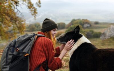 W jakich miejscach na świecie żyją psy?