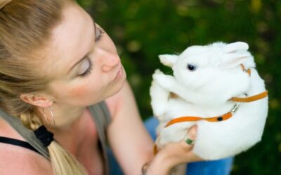 Czego potrzebuje królik do szczęśliwego życia?