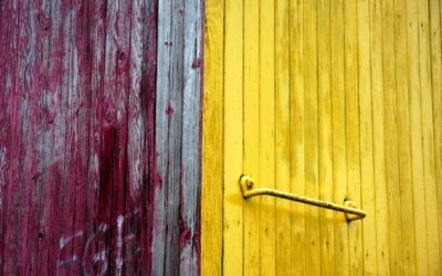 Jaki kolor drzwi pasuje do boazerii w Twoim domu?