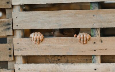 Kreatywne pomysły na wykorzystanie skrzynek drewnianych w domu i ogrodzie