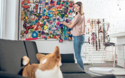 Kreatywne pomysły na zagospodarowanie ściany w Twoim pokoju