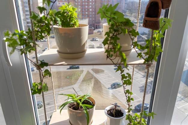 Jak urządzić bardzo mały balkon i wykorzystać każdy centymetr przestrzeni?