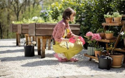 Kreatywne pomysły na zagospodarowanie małego ogrodu