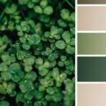 Jakie kolory harmonijnie komponują się z zielenią?