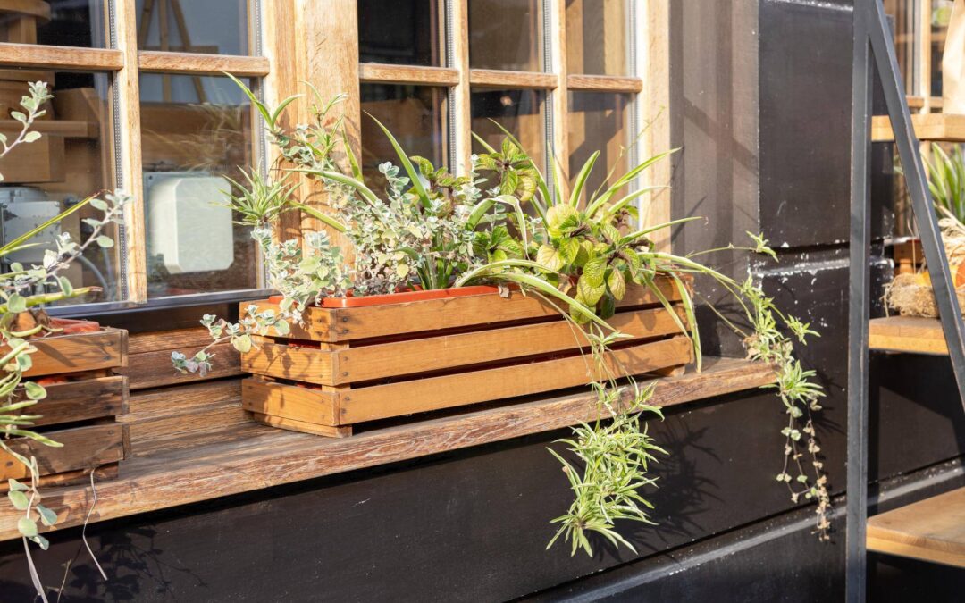 Jak stworzyć piękny balkon, który stanie się twoją oazą relaksu?