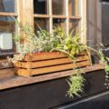 Jak stworzyć piękny balkon, który stanie się twoją oazą relaksu?