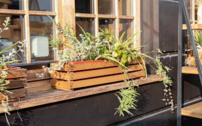 Jak stworzyć piękny balkon, który stanie się twoją oazą relaksu?
